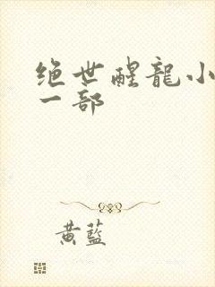 绝世醒龙小说第一部