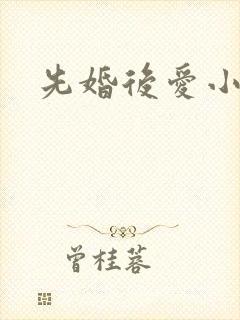 先婚后爱小甜妻