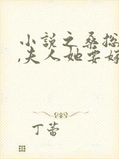 小说之桑总别虐,夫人她要嫁人了封面
