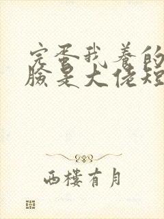 完蛋我养的小白脸是大佬短剧全部播放