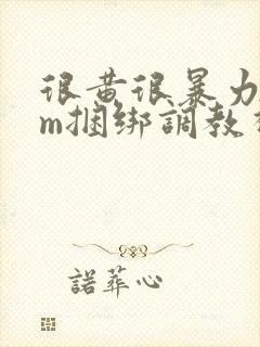 很黄很暴力的sm捆绑调教视频网站