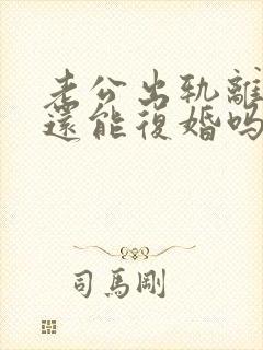 老公出轨离婚了还能复婚吗封面