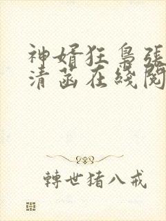 神婿狂枭张玄林清菡在线阅读全文封面