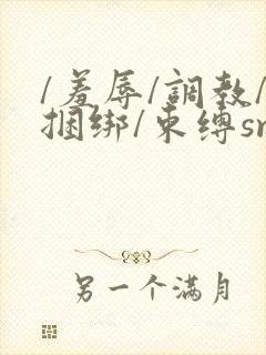 /羞辱/调教/捆绑/束缚sm的小说