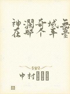 神澜奇域无双珠在哪个平台