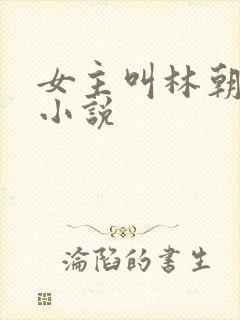 女主叫林朝夕的小说
