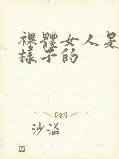裸体女人是什么样子的封面