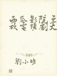 西瓜影院免费播放电视剧大全