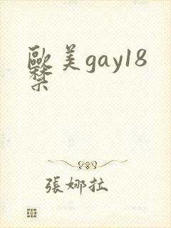 欧美gay18禁