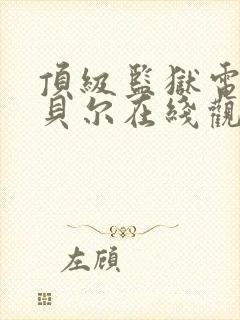 顶级监狱电影包贝尔在线观看