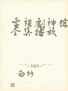 电视剧神枪免费全集播放封面