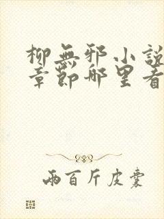 柳无邪小说最新章节哪里看封面