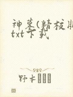 神墓(精校版)txt下载