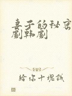 妻子的秘密电视剧韩剧