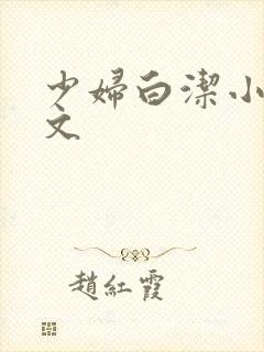 少妇白洁小说全文
