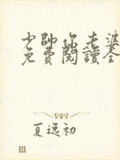 少帅你老婆跑了免费阅读全文