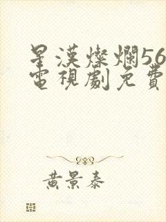 星汉灿烂56集电视剧免费下载