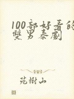 100部好看的双男泰剧