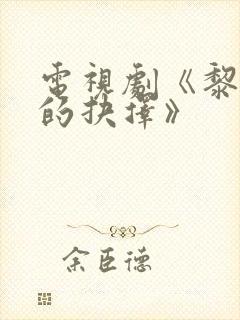电视剧《黎明前的抉择》