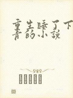 重生睡了下乡知青的小说