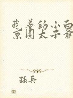 我养的小白脸是京圈太子爷完整版