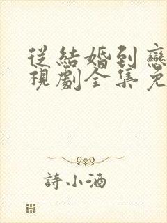 从结婚到恋爱电视剧全集免费观看封面