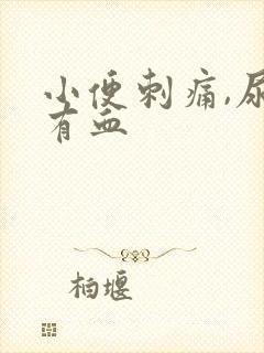小便刺痛,尿里有血封面