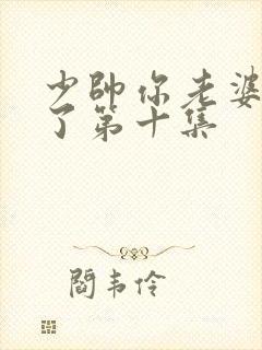 少帅你老婆又跑了第十集