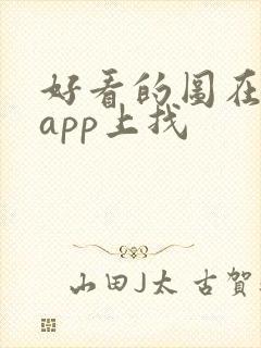 好看的图在哪个app上找