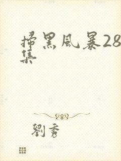 扫黑风暴28全集