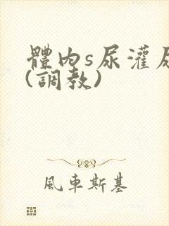 体内s尿灌尿h(调教)