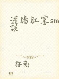 灌肠肛塞sm小说