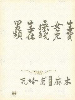 男生操女生的视频在线免费看