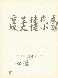 重生后我成了满级大佬小说封面