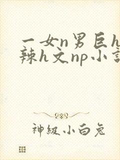 一女n男巨h高辣h文np小说
