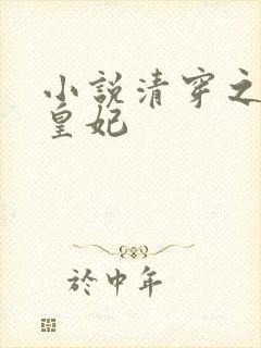 小说清穿之娇养皇妃