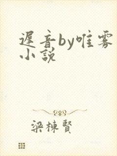 迟音by唯雾的小说