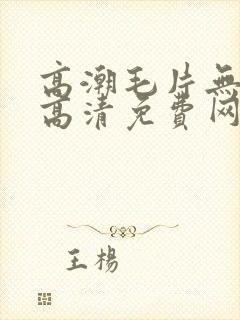 高潮毛片无遮挡高清免费网站封面