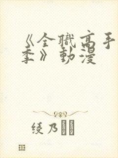 《全职高手第二季》动漫