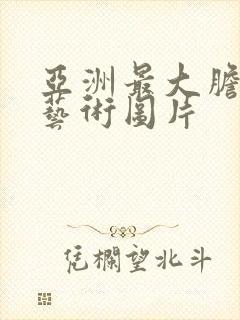 亚洲最大胆人体艺术图片