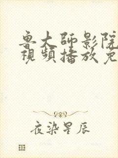 鲁大师影院在线视频播放免费观看