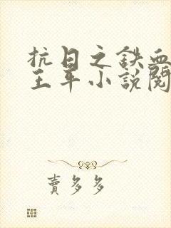 抗日之铁血智将王平小说阅读封面