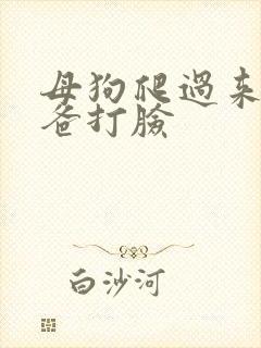 母狗爬过来叫爸爸打脸