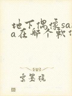 地下偶像sana在哪个软件看封面