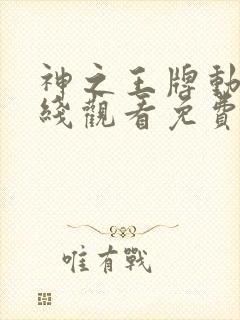 神之王牌动漫在线观看免费播放