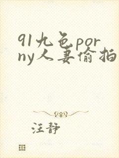 91九色porny人妻偷拍