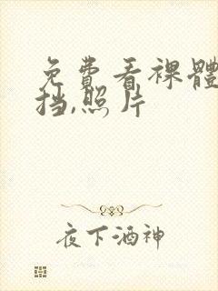 免费看裸体无遮挡,照片