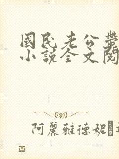 国民老公带回家小说全文阅读免费