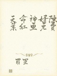 天命神婿陈黄皮叶红鱼免费阅读封面