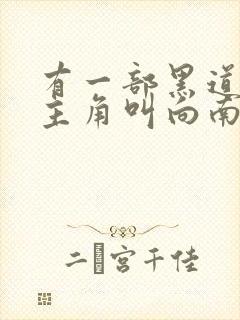 有一部黑道小说主角叫向南的小说封面